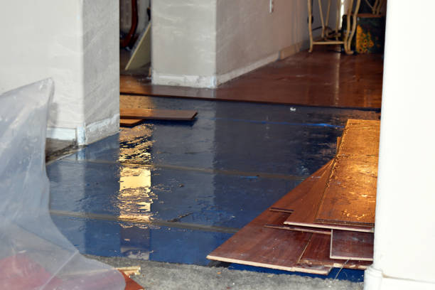 Professional Basement Flood Cleanup technician working in Forest Falls, CA